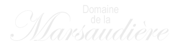 Logo Domaine de la Marsaudière